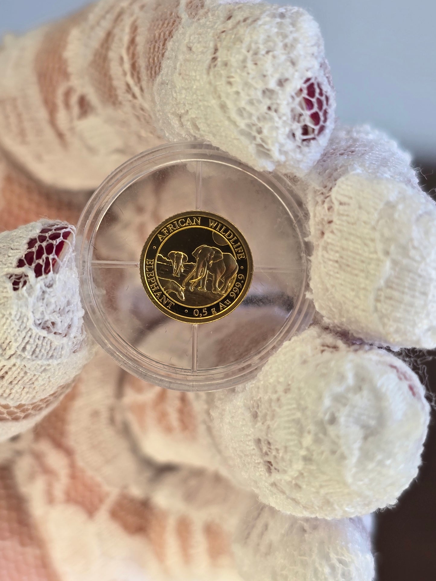 African Wildlife: Elefante 0,5 g d'oro 2026