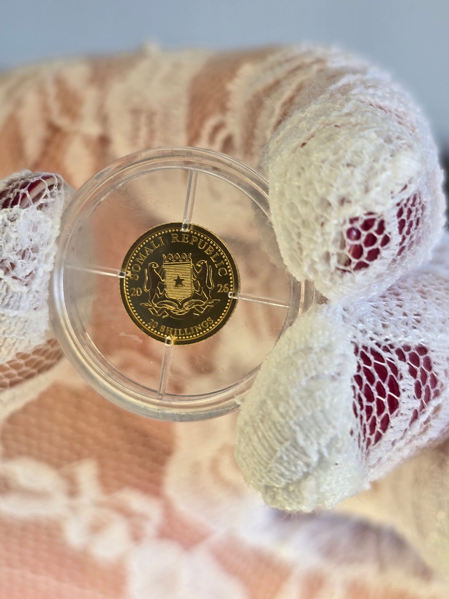 African Wildlife: Elefante 0,5 g d'oro 2026